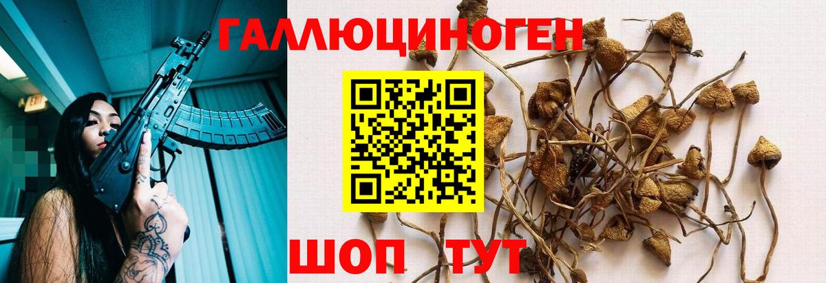 Псилоцибиновые грибы прущие грибы Мичуринск